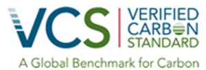 bluemx logo standards vcs
