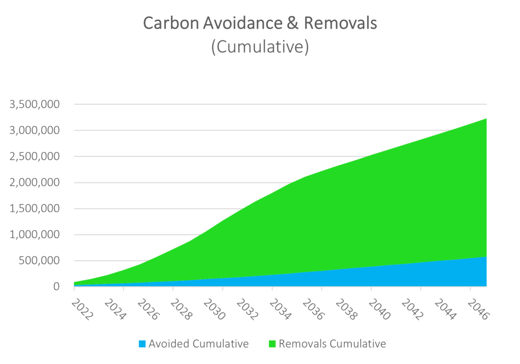 bluemx project graph cozumel
